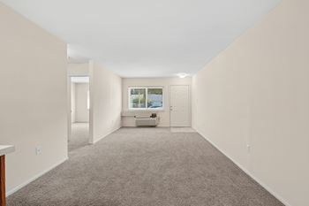 Large energy-efficient windows